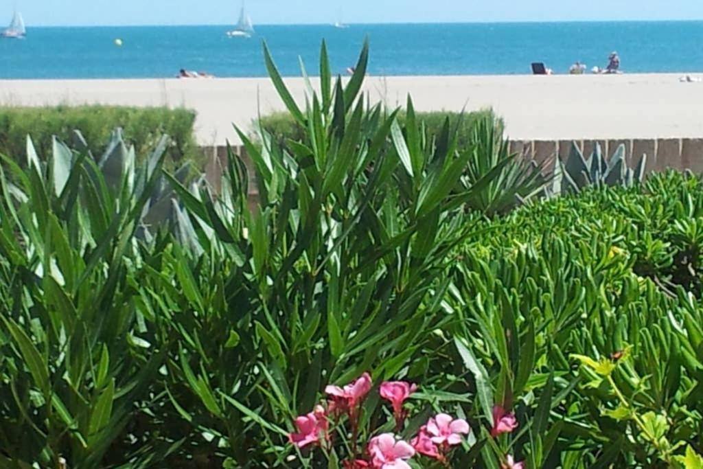 Cros Mer Et Piscine Saint-Pierre-la-Mer  المظهر الخارجي الصورة